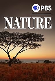 Nature (1982)