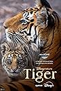 Tiger (2024)