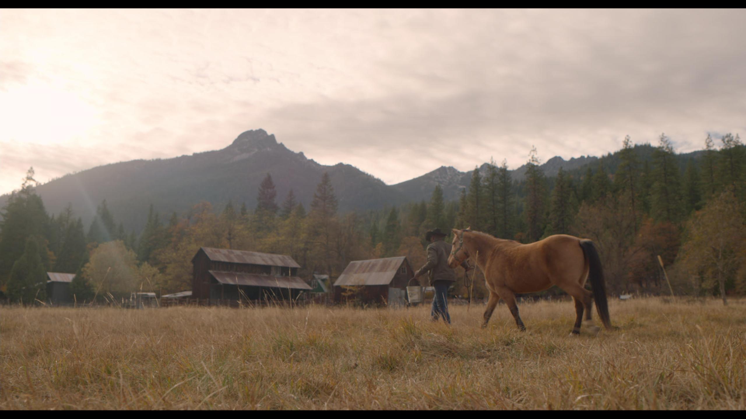 Colman Domingo in North Star (2022)