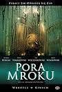 Pora mroku (2008)