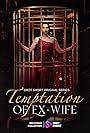 Temptation of the Ex-Wife (2024)