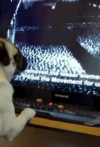 Primary photo for The Nazi Pug: Joke or Hate?