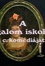 A rágalom iskolája (1984)