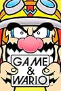 Game & Wario (2013)