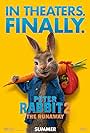 James Corden in Peter Rabbit 2: The Runaway (2021)