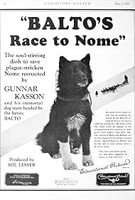 Balto in Balto's Race to Nome (1925)