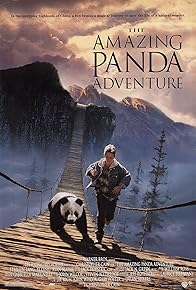 Primary photo for The Amazing Panda Adventure