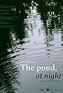 The Pond, at Night (2021)