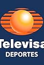 Televisa Deportes (1997)