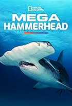 Mega Hammerhead (2016)