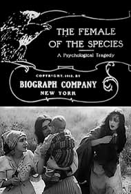 The Female of the Species (1912)