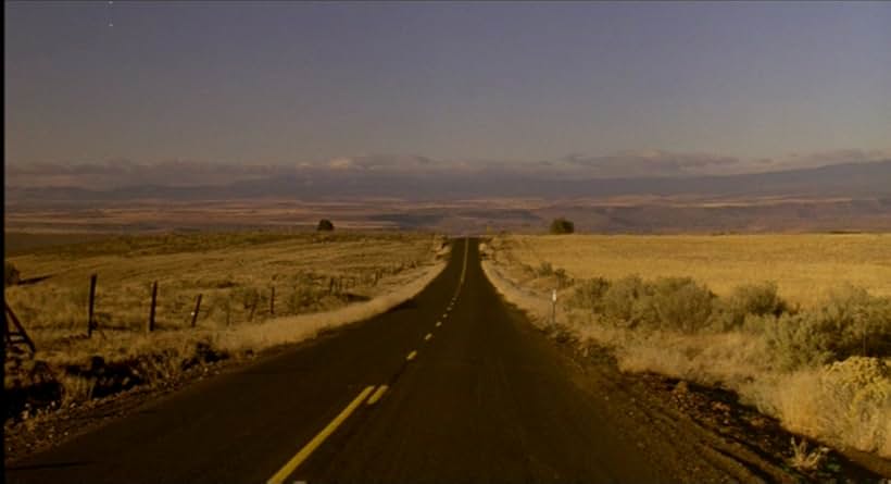 My Own Private Idaho (1991)