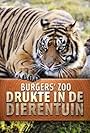 Burgers' Zoo: Drukte in de dierentuin (2015)