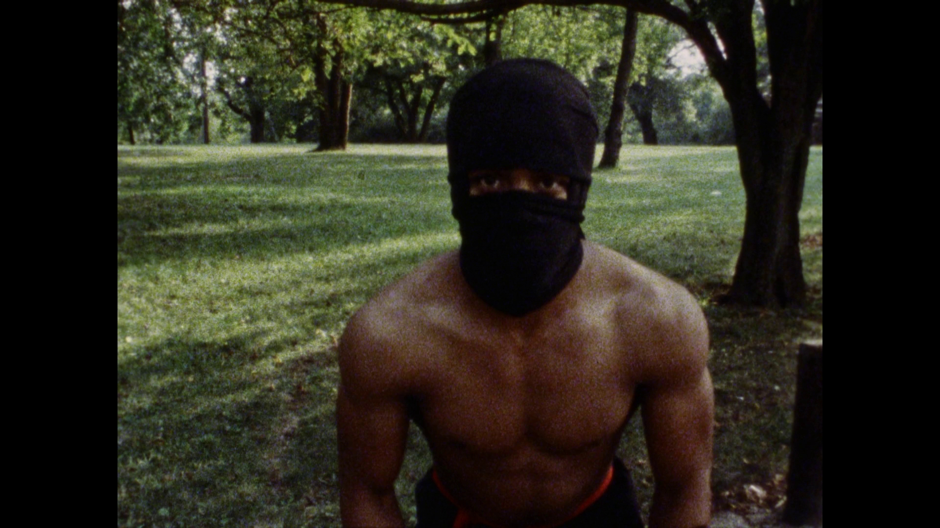 Dragon vs. Ninja (1984)