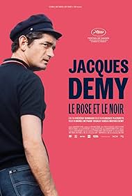 Jacques Demy, le rose et le noir (2024)