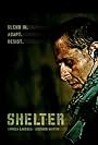 Shelter (2013)