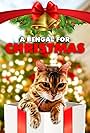 A Bengal for Christmas (2023)