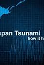 Japan Tsunami: How It Happened (2011)