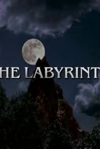 Primary photo for The Labyrinth