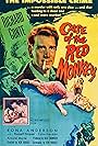 Richard Conte and Rona Anderson in The Case of the Red Monkey (1955)