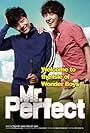 Mr. Perfect (2014)