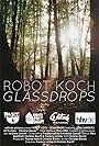 Robot Koch: Glassdrops (2011)