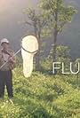 Flutter (2012)