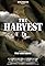 The Harvest's primary photo