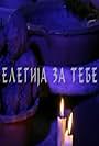 Elegija za tebe (2007)