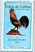 Adam Barber, Úrsula Murayama, Mario Zaragoza, David Colclasure, Nathan Amondson, Luis Antonio Aldana, Stacia Saint Owens, Matthew Bateman, Alvaro Morello, Omar Gonzalez Gamez, Bernardo Revilla, and Oltac Unsal in Pelea de gallos (2004)