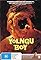 Yolngu Boy's primary photo