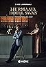 Hotel Swan Helsinki (TV Series 2020– ) Poster