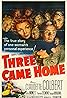 Three Came Home (1950) Poster