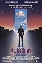 Mr. Destiny (1990)