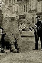 René Poyen in Tiny Tim and the Adventures of His Elephant (1913)