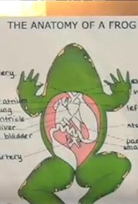 Primary photo for The Anatomy of a Frog