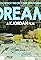 Dream: A K.Jordan Film's primary photo