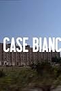 Le case bianche (2010)