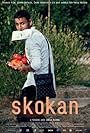 Skokan (2017)