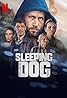 Sleeping Dog (TV Series 2023– ) Poster