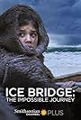 Ice Bridge: The Impossible Journey (2018)