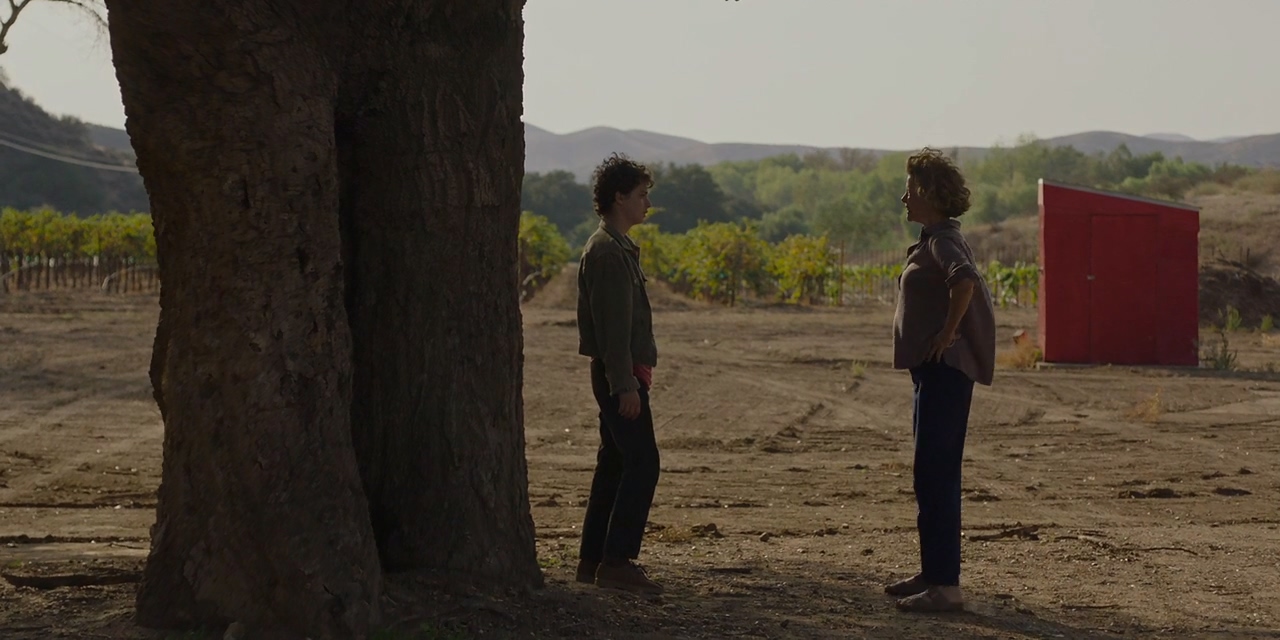 Annette Bening and Lucas Jade Zumann in 20th Century Women (2016)