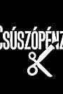 Csúszópénz (2014)