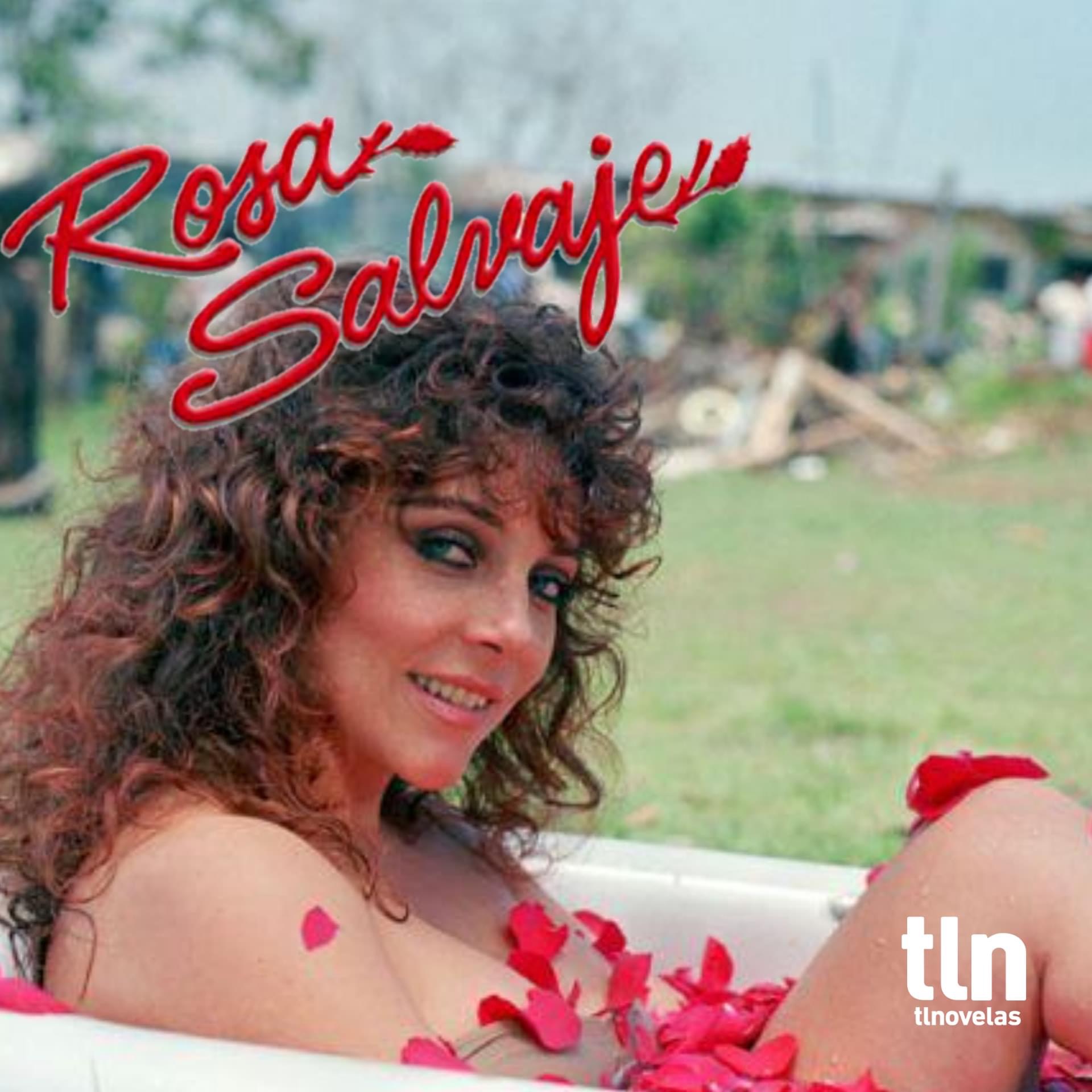 Verónica Castro in Rosa salvaje (1987)