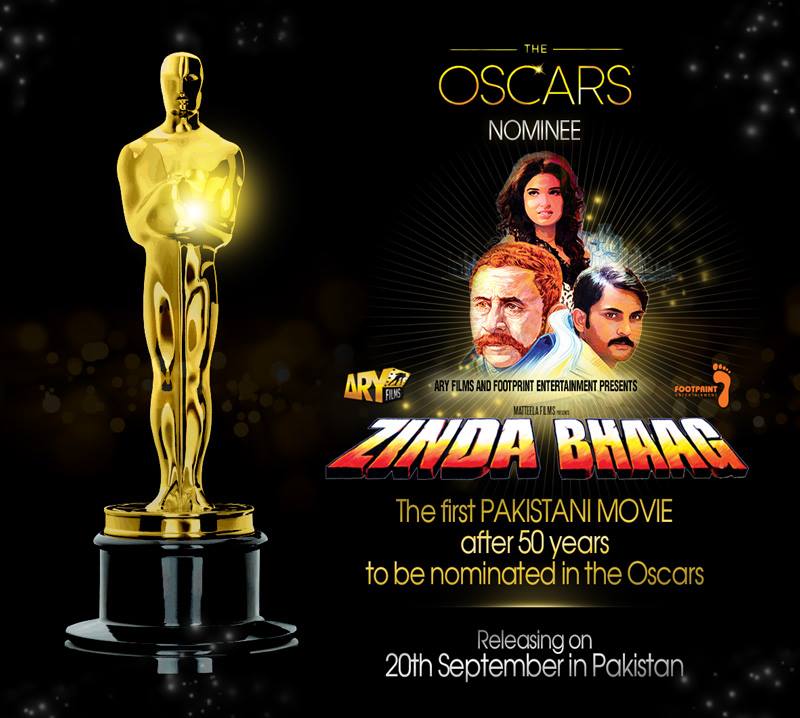 Zinda Bhaag (2013)