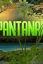 Planet of the Pantanal (1990)