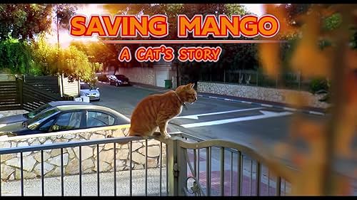 After his beloved family gets involved in a car accident, Mango the cat is forced to survive on his own and to miss them, hopefully they will return back home one day.

SAVING MANGO - A CAT'S STORY  is a new independent narrative feature film for all animal lovers around the world.

Festivals & Awards: Best Storytelling Award - International Animal Future Film Festival in London England. Best Children's Film Award - Buzz iff international film festival in Buzau Romania. Official Selection - Maryland International Film Festival in Hagerstown Maryland the USA. Official Selection - Upstate New York Film Festival in New York USA. Chinh Silver Award - Chinh India Kids Film Festival in New Delhi India Official Selection - Ukraine Kids First Film Festival in Ukraine (took place online). Official Selection - Bridges International Film Festival in Corinth Greece.