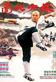 Jet Li in Martial Arts of Shaolin (1986)