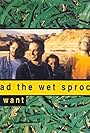 Toad the Wet Sprocket: All I Want (1992)