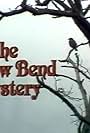 The Willow Bend Mystery (1981)